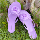 Lavender Flower Jelly Thong Sandal