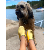 Gold Leather Malmo Clog with Gold Strap & Wooden Heel with Rubber Sole, Handmade in Sweden
