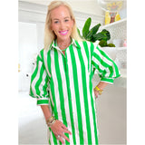 Green Cabana Stripe Pleated Back Cotton Moritz Dress