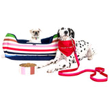 Kate Spade Happy Stripe Pet Accessories