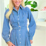 Blue Stripe Puff Sleeve Abbot Dress