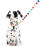 Kate Spade Happy Stripe Pet Accessories