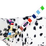 Kate Spade Happy Stripe Pet Accessories