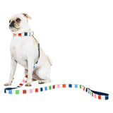 Kate Spade Happy Stripe Pet Accessories