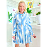 Blue Circus Stripe Button Down Fit & Flare Pope Dress