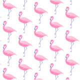 Pima Cotton Flamingos Pajama Short Set