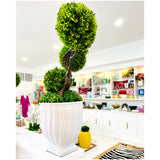 35.5” Boxwood Topiary Tree & Terracotta Planter (sold separately)
