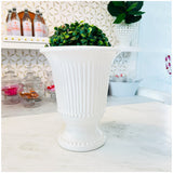 Mirabelle 10” Beaded Vase & 11.5” Fluted Cachepot
