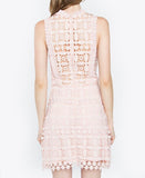Blush Crochet Overlay Semi A-Line Cocktail Dress with Ruffle Neck & Open Lace Back