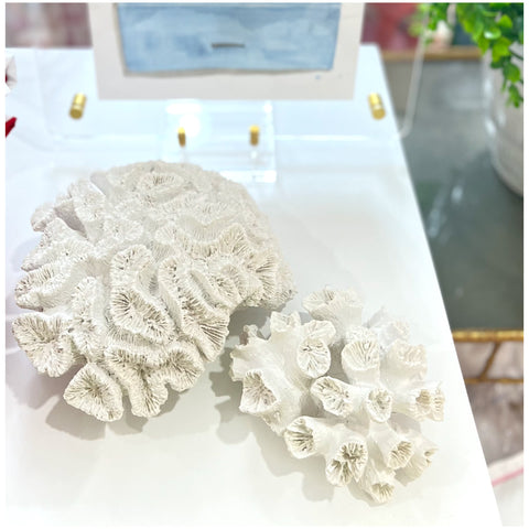 9” or 6.5” Coral Decor
