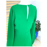 Black or Holiday Green Ruffle Hem Nelli Dress