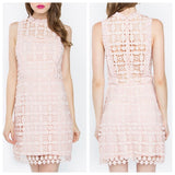 Blush Crochet Overlay Semi A-Line Cocktail Dress with Ruffle Neck & Open Lace Back