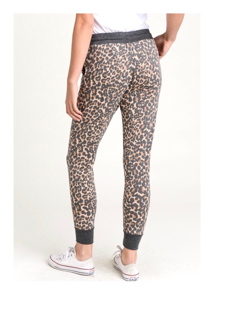 Leopard Print French Terry Jogger Pants   James Ascher