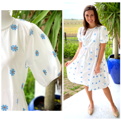 White & Blue Daisy Embroidered Poplin Dress