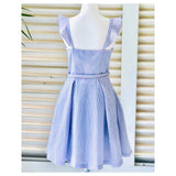 Pink & Blue Seeesucker Gingham Flutter Sleeve Dress with Bustier Bodice & Front Pleat