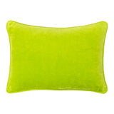 Jewel Tone Velvet Pillows