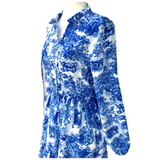 Blue & White Chinoiserie Monkey Business Dress with Accordion Ruffle Pleated Neckline