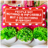 Needlepoint “Nothing Is Impossible” Pillow with Velvet Back