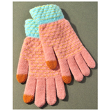 Embroidered Mittens in 2 Colors