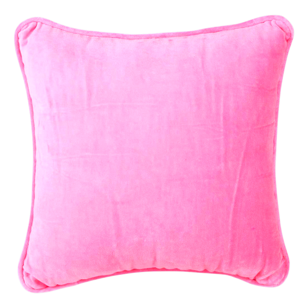 Needlepoint No Ducking Way Pillow with Velvet Back James Ascher